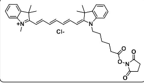 脂性Cy7-N-羟基琥珀酰亚胺酯